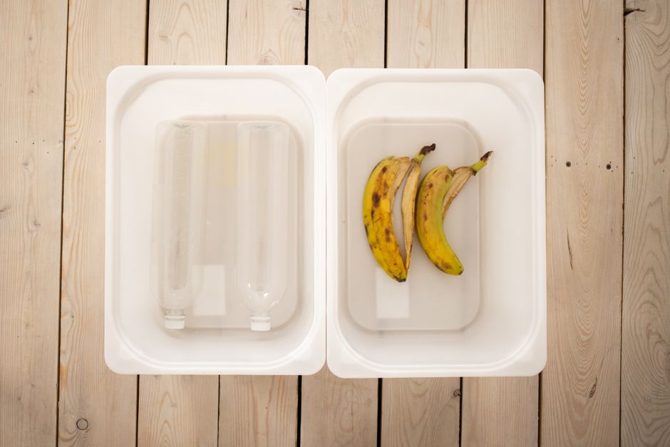 Top view of transparent plastic bottles and banana peels separated into white containers placed on wooden floor in light room